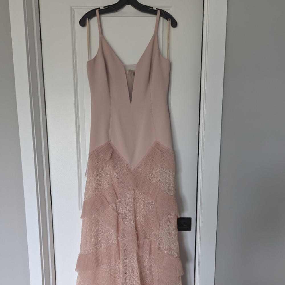 BCBG Maxazria Avaline Gown (Size 8) Nude Pink